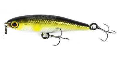TINY FRY 50SP