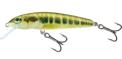 Salmo Minnow 5