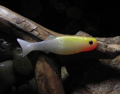 Oskar 8