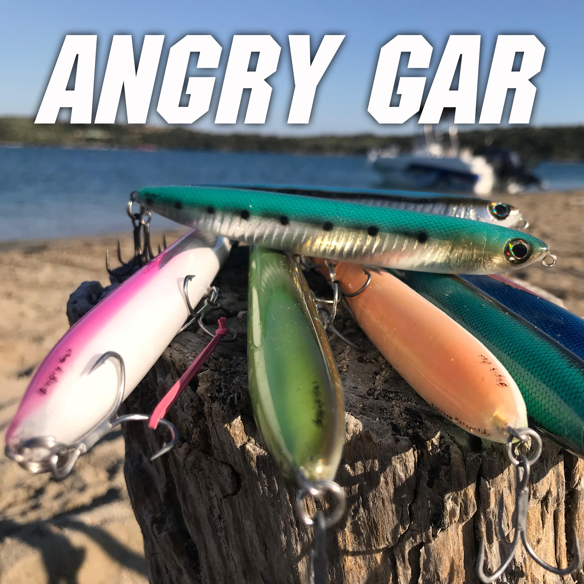 Angry GAR 220 CUSTOM